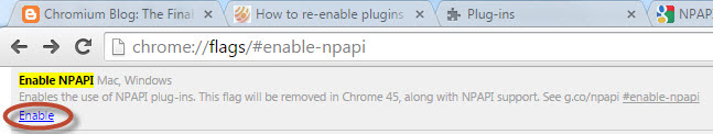 NPAPI enable screen shot